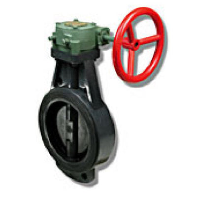 FP3528-WG Fire Pro Butterfly Valve with Worm Gear